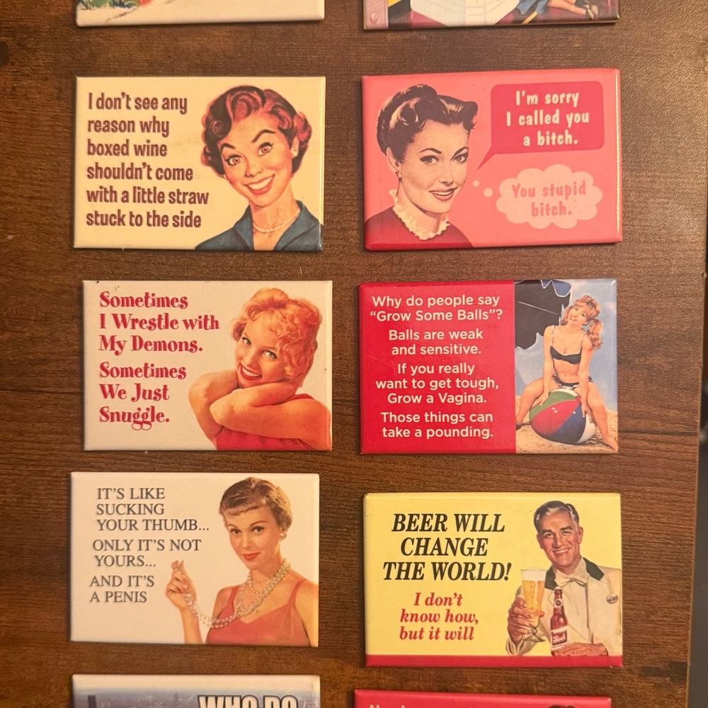 Retro Sarcastic Fridge Magnet Bundle (10)Vintage Housewife Humor Novelty Magnets